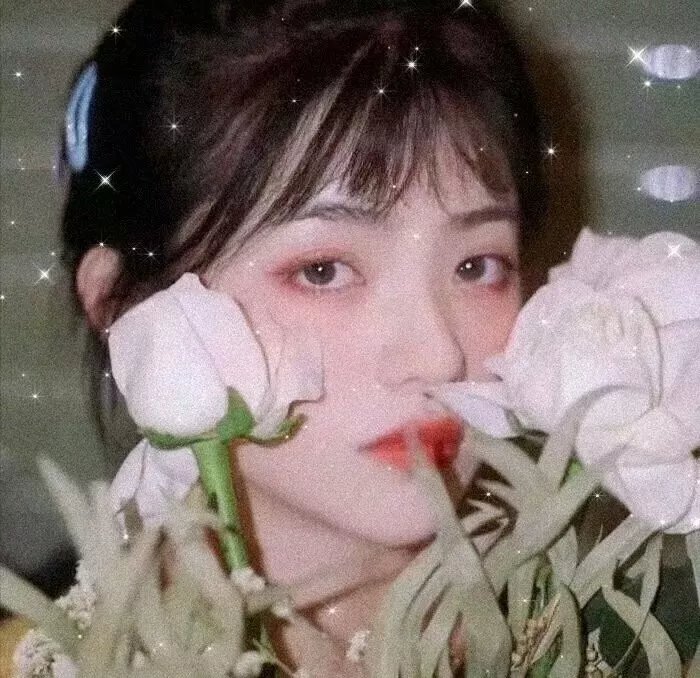 女才男貌 在线观看
